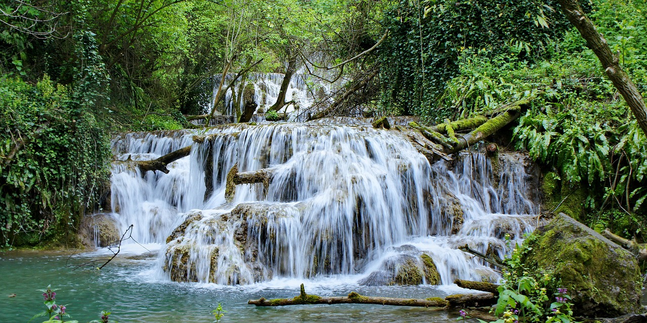 waterfall  forest  nature free photo