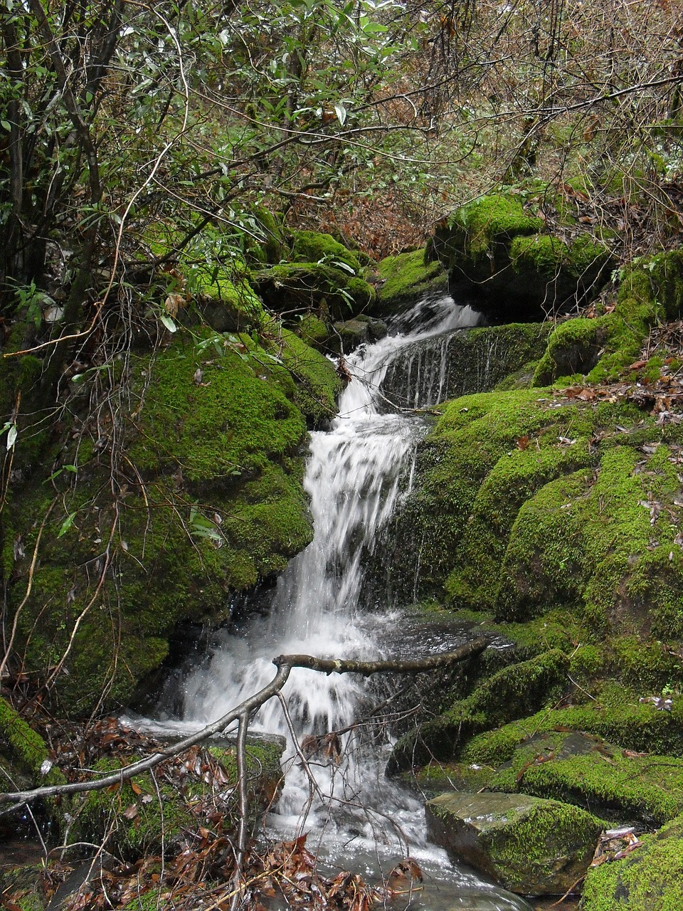 waterfall  forest  nature free photo