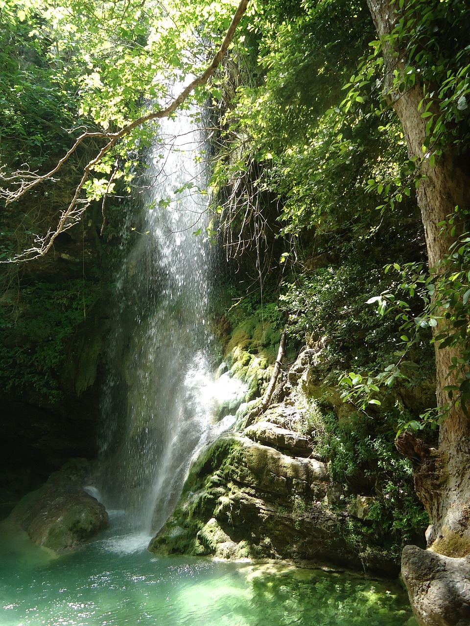 waterfall wild green free photo