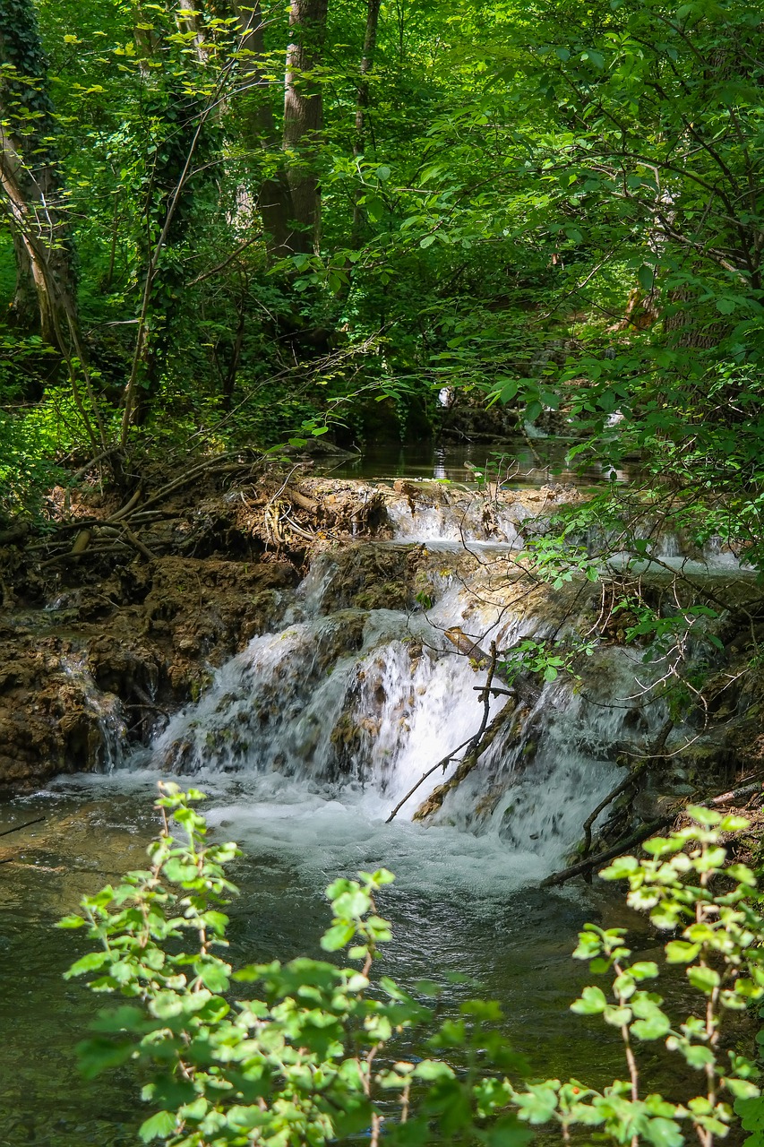 waterfall  bach  creek free photo
