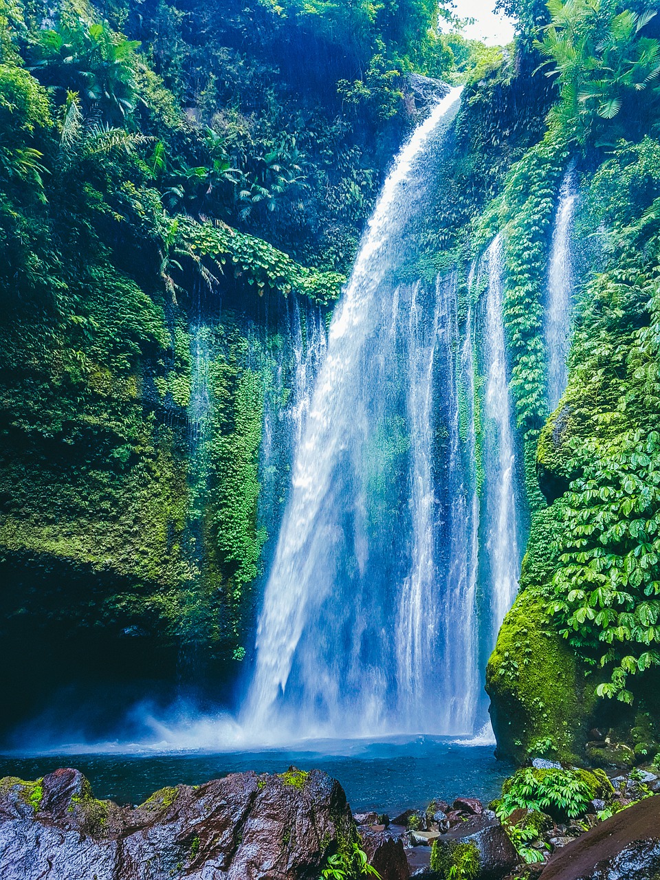 waterfall  nature  water free photo