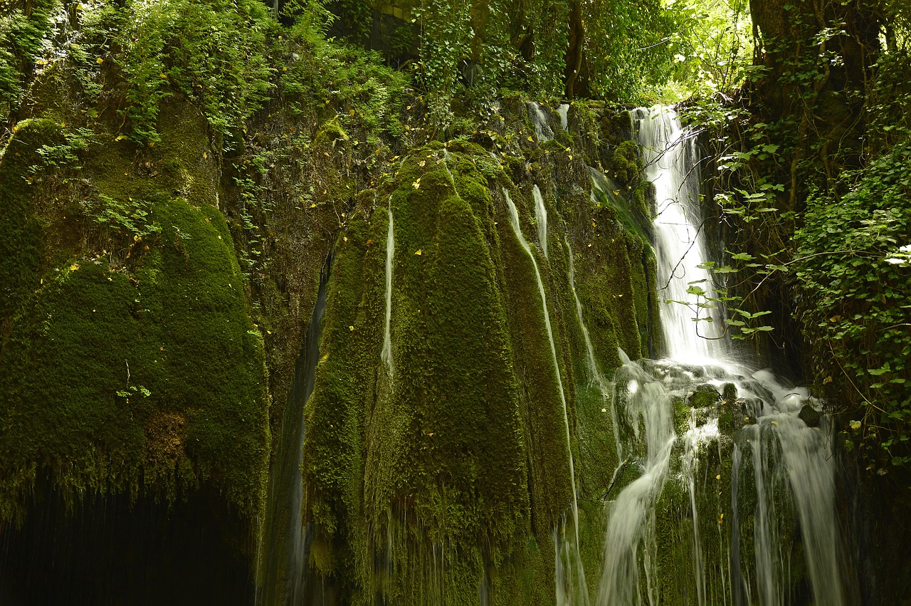 waterfall  cascade  bach free photo