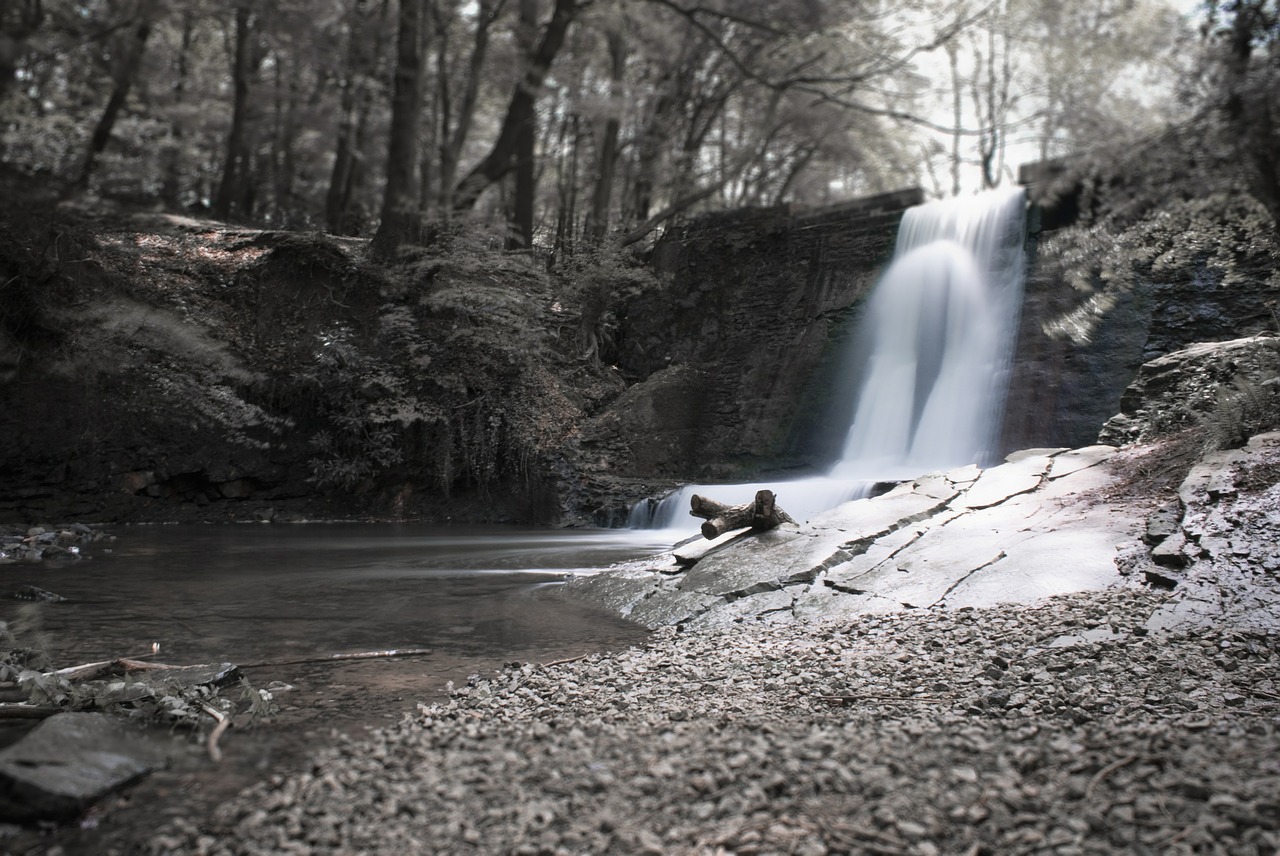 waterfall water tree free photo