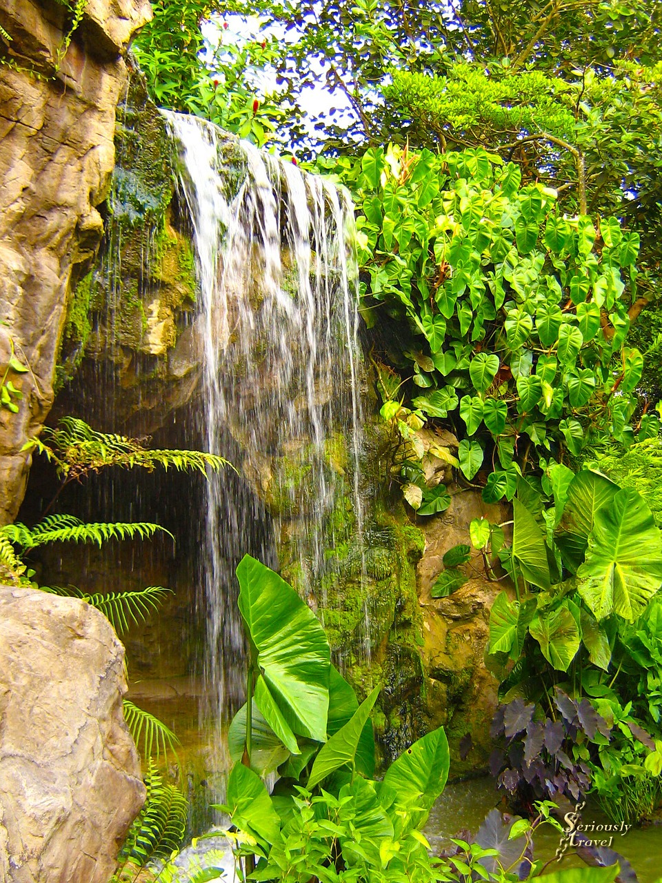 waterfall nature rocks free photo