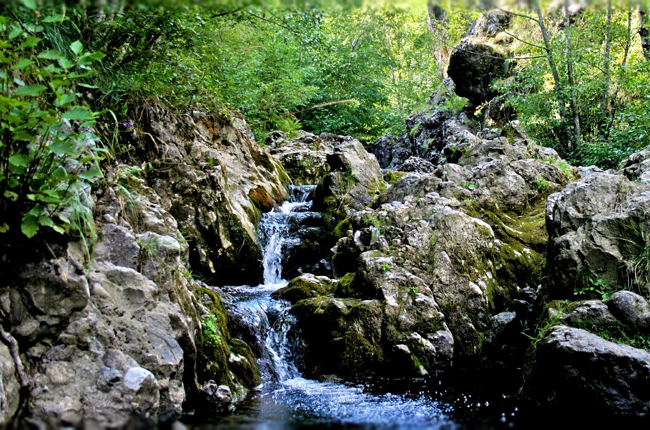 waterfall summer clear free photo