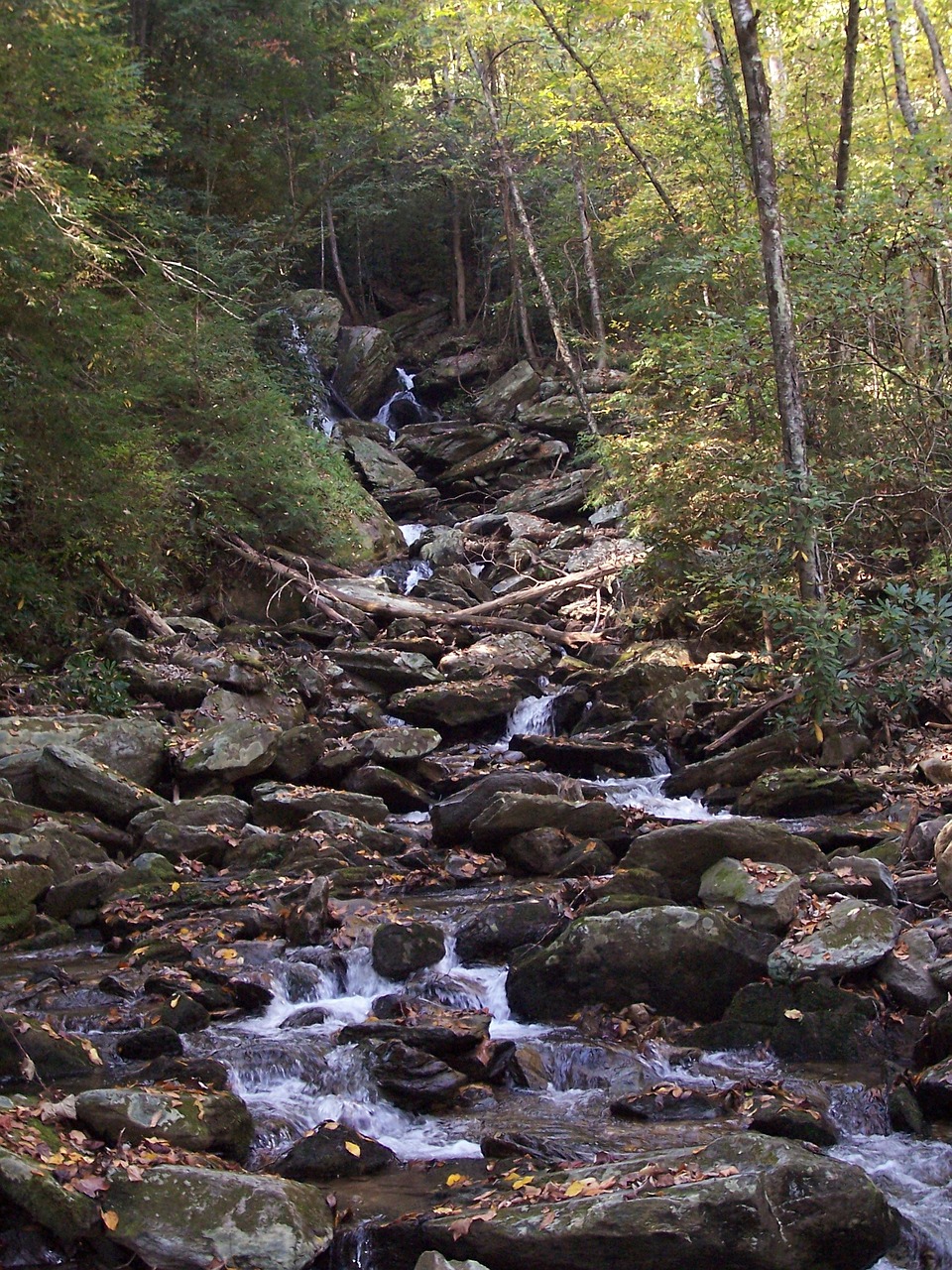 waterfall north carolina nature free photo