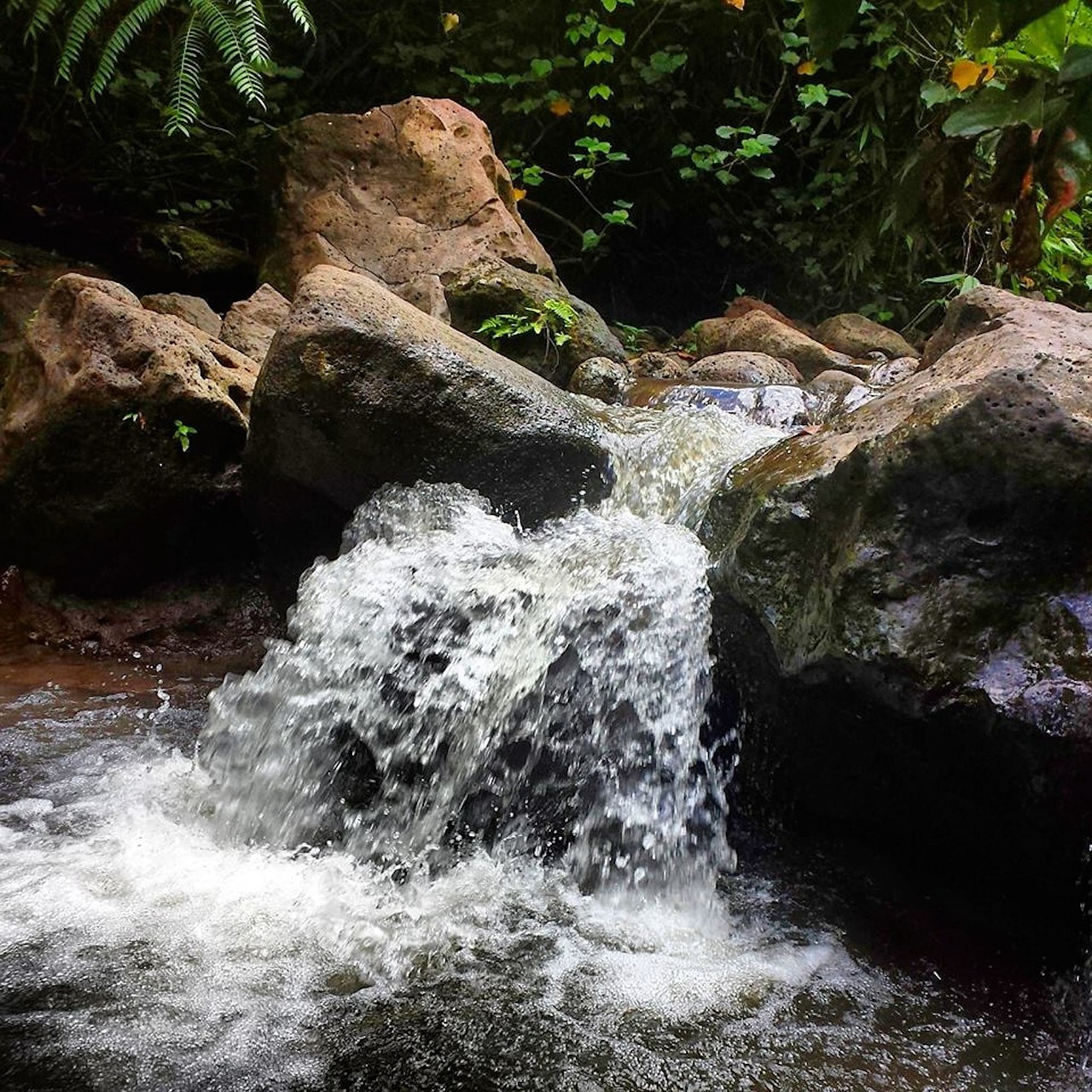 waterfall water nature free photo