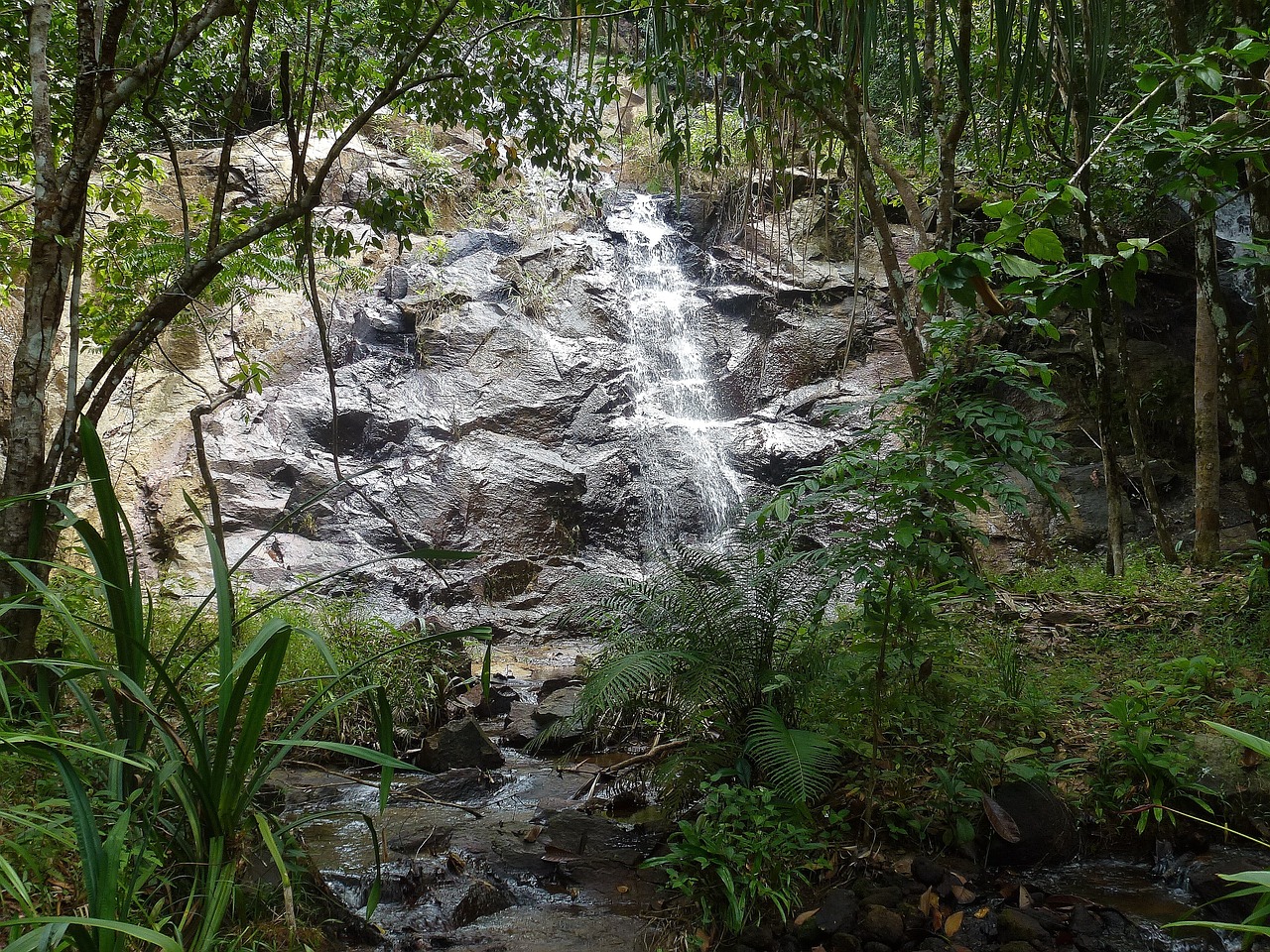 waterfall thailand river landscape free photo