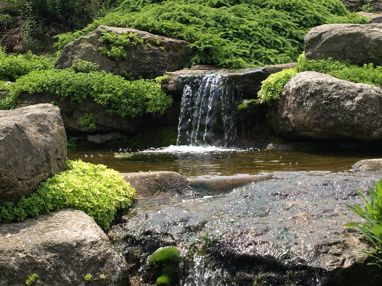 waterfall moss water free photo