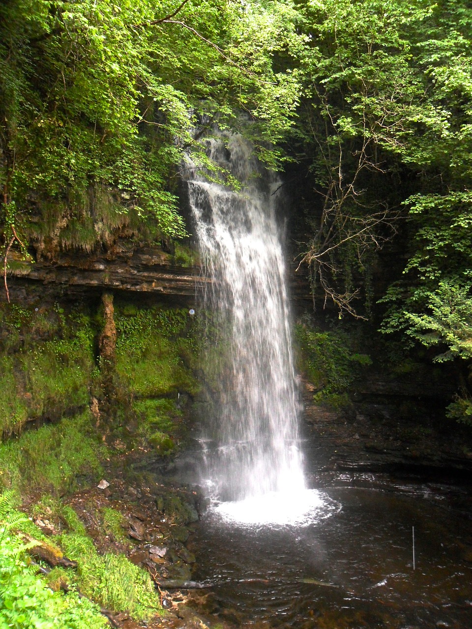 waterfall green water free photo