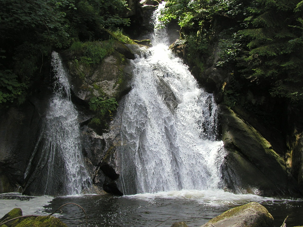 waterfall triberg nature free photo