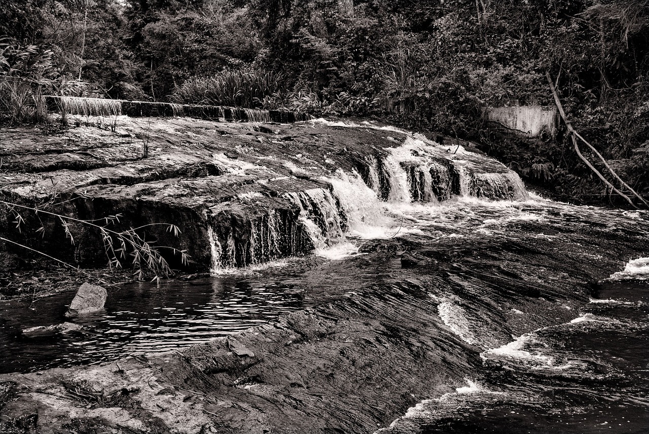 waterfall rio agua free photo