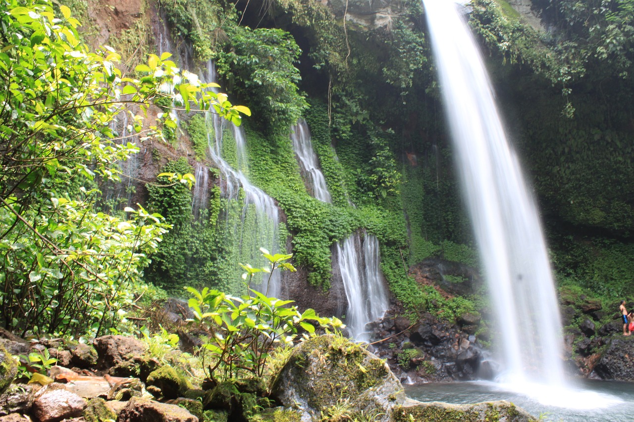 waterfall nature tourism the tree free photo