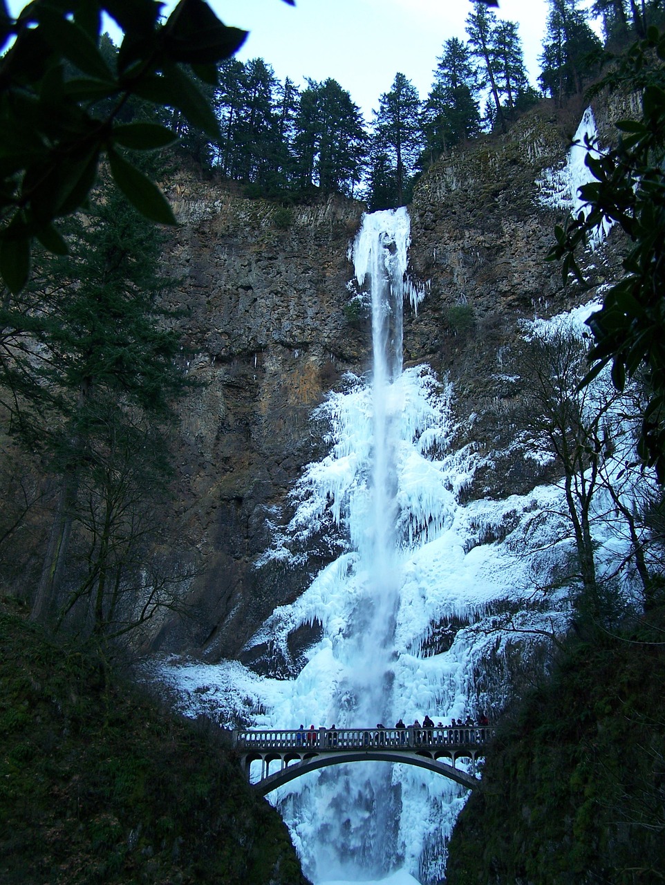 waterfall frozen waterfall winter free photo