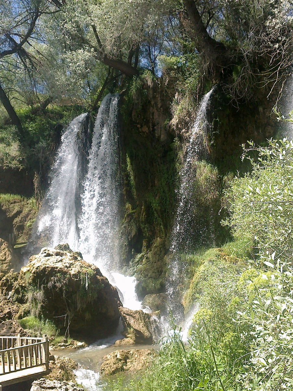 waterfall water nature free photo