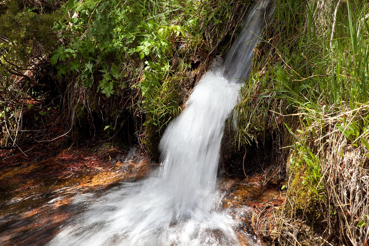 waterfall landscape flowing free photo