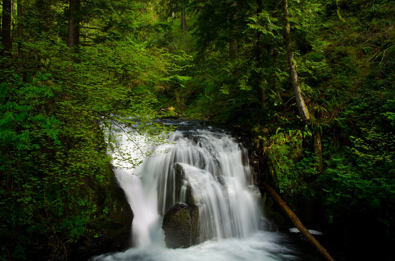 waterfall forest nature free photo