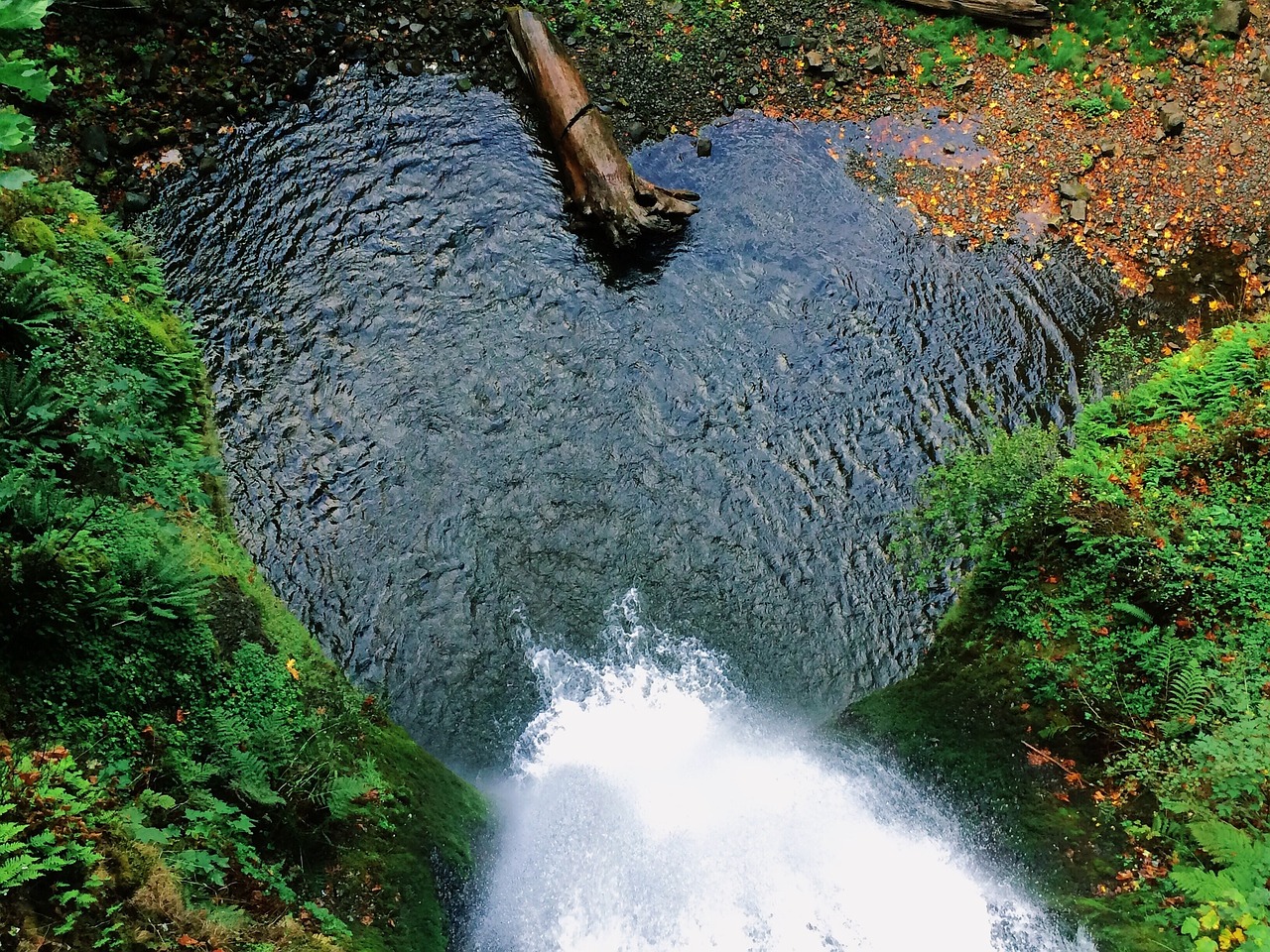 waterfall forest natural free photo