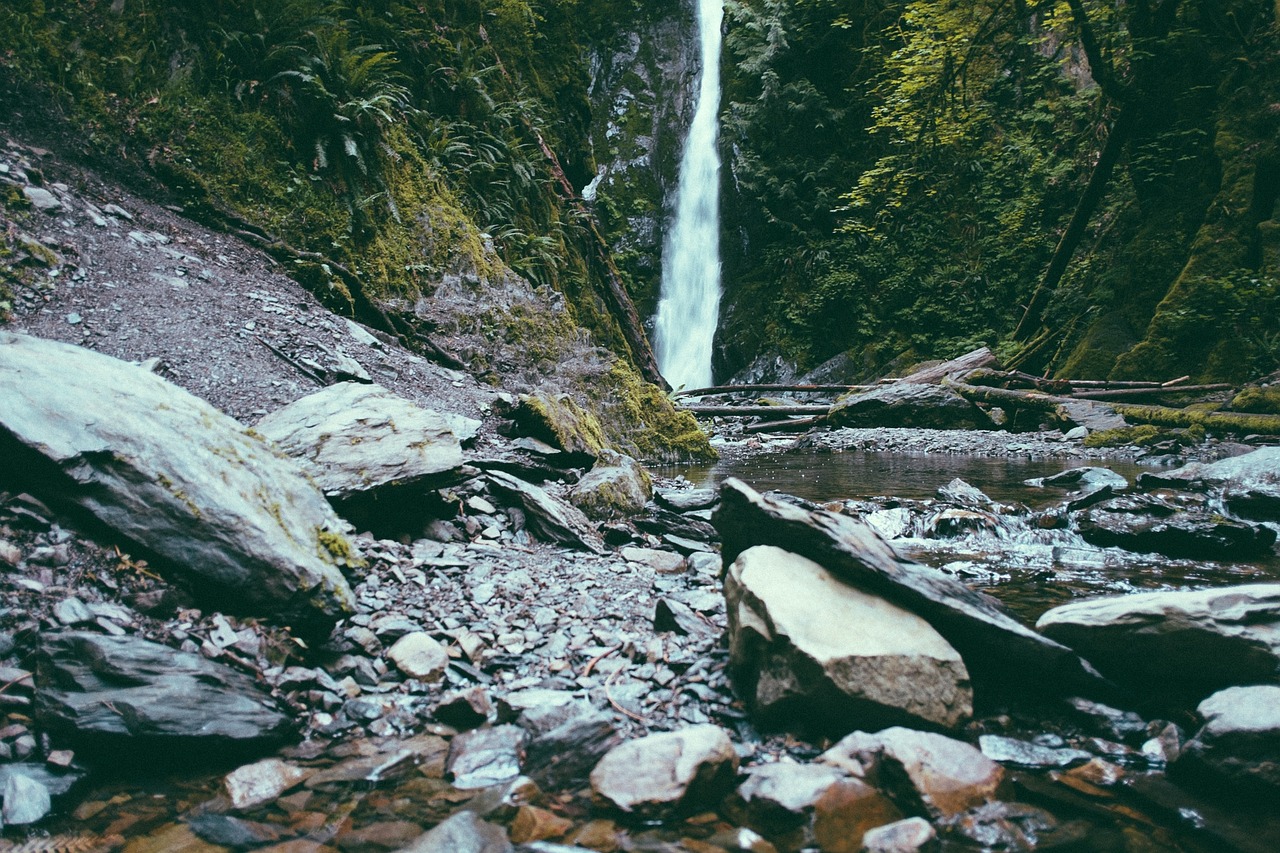 waterfall water trees free photo