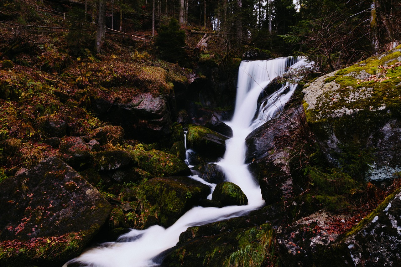 waterfall river stream free photo