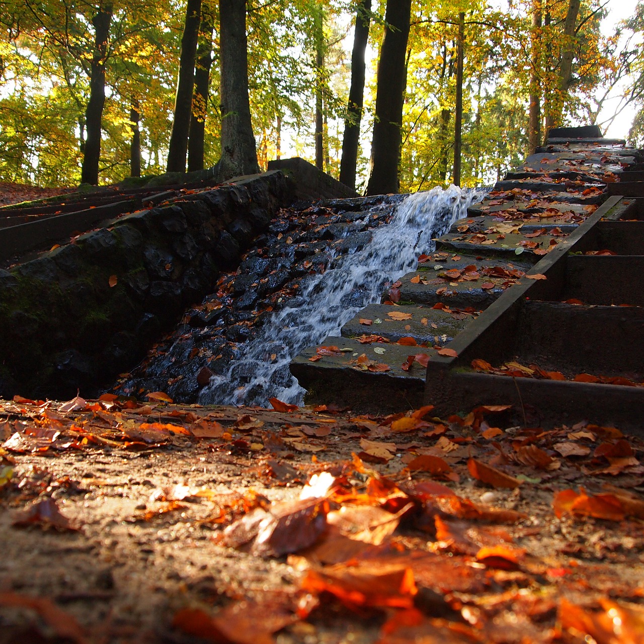 waterfall natural water bright free photo