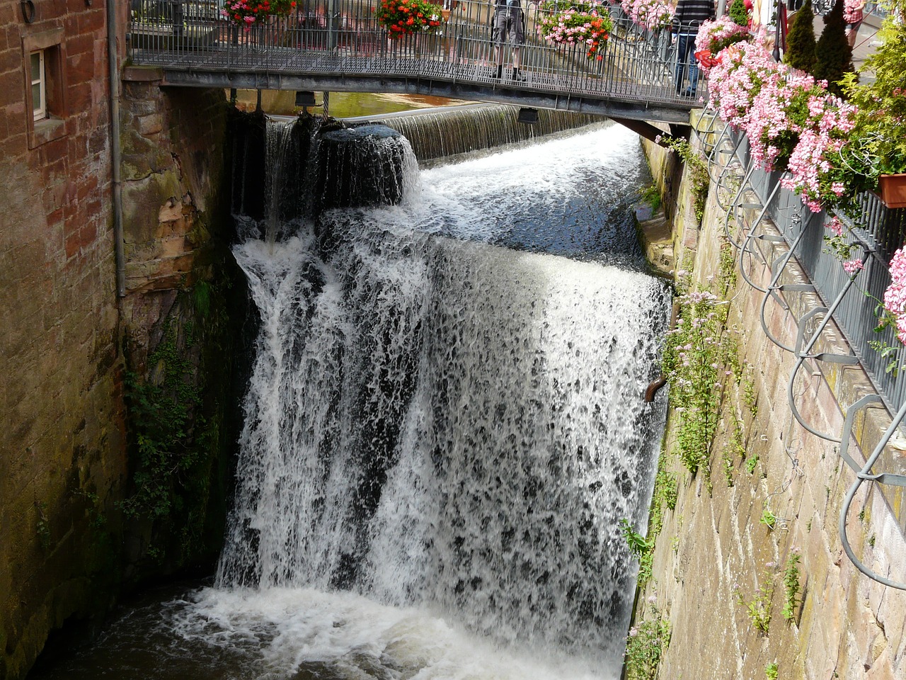 waterfall water flowing free photo