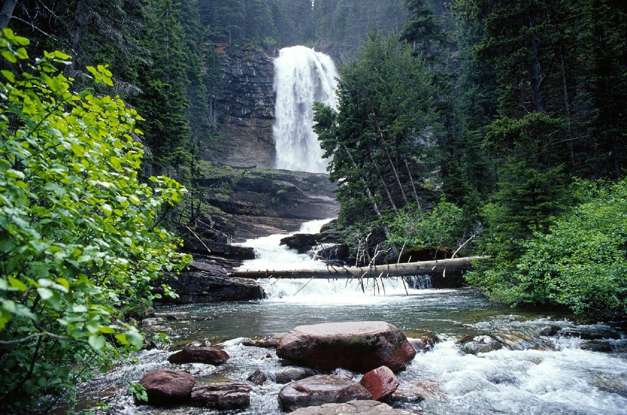 waterfall stream landscape free photo