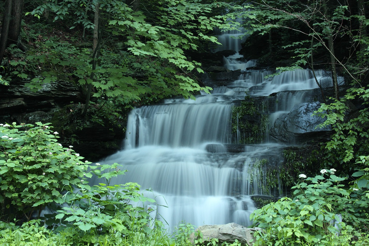 waterfall scenic falls free photo