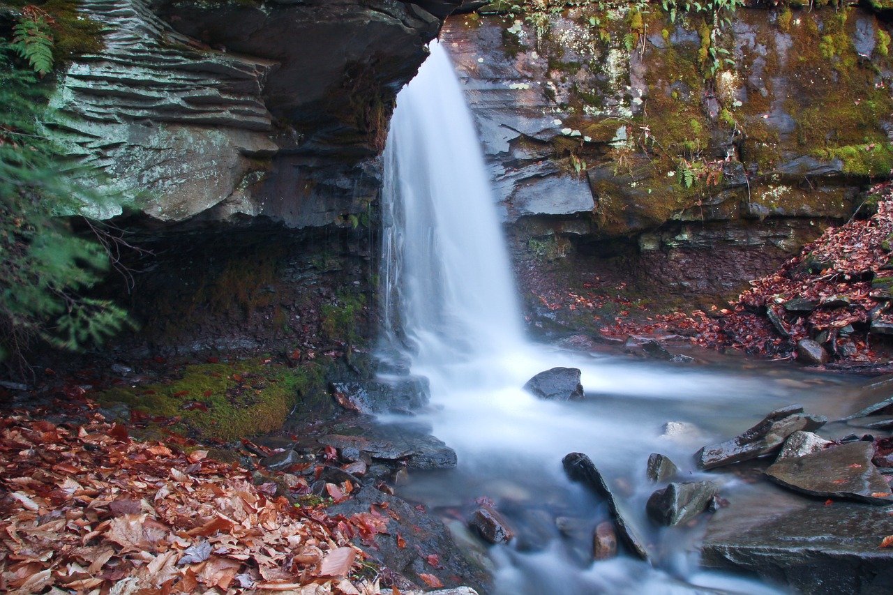 waterfall water fall free photo