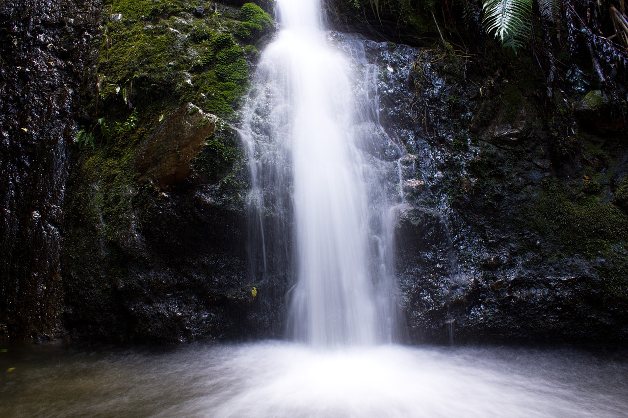 waterfall water silky free photo