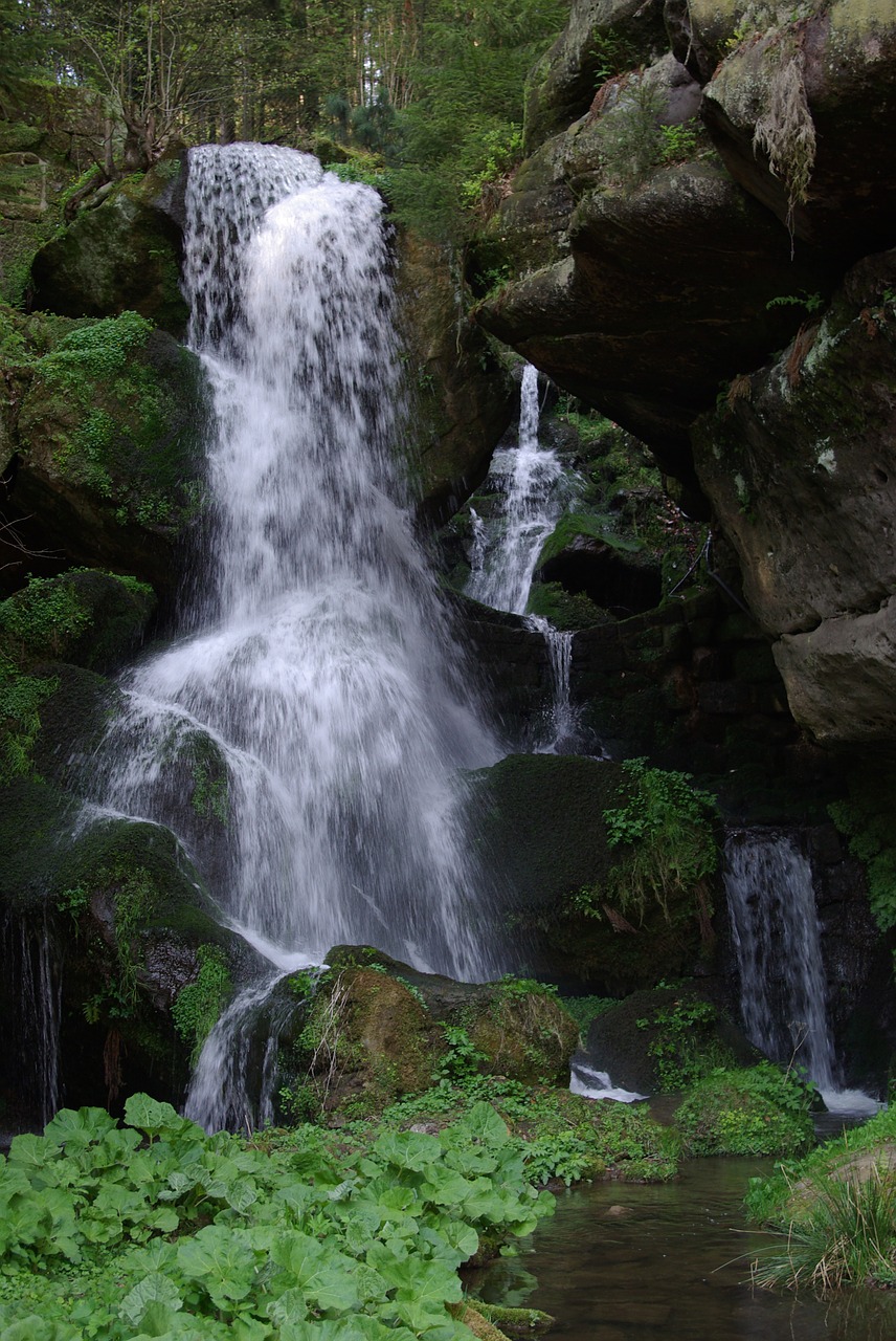 waterfall water natural free photo