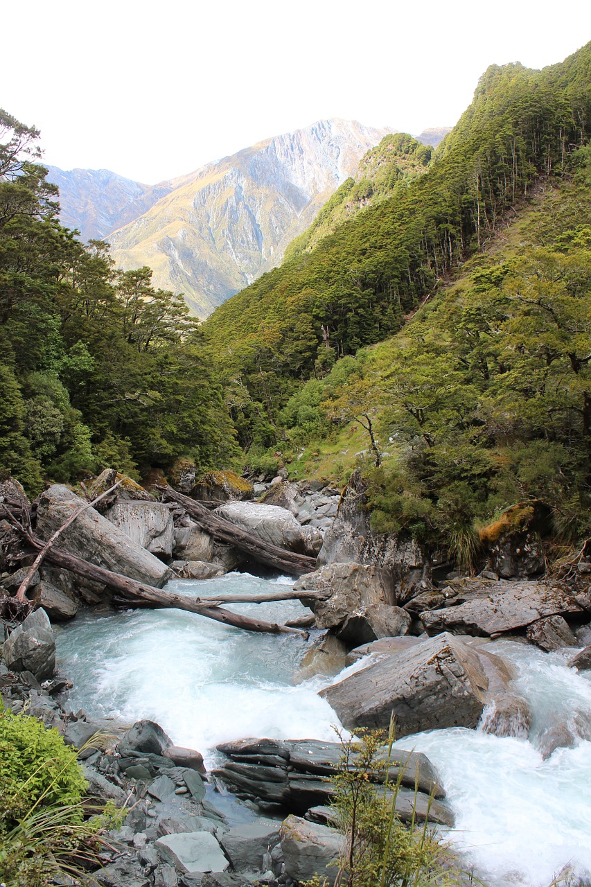 waterfall landscape view free photo