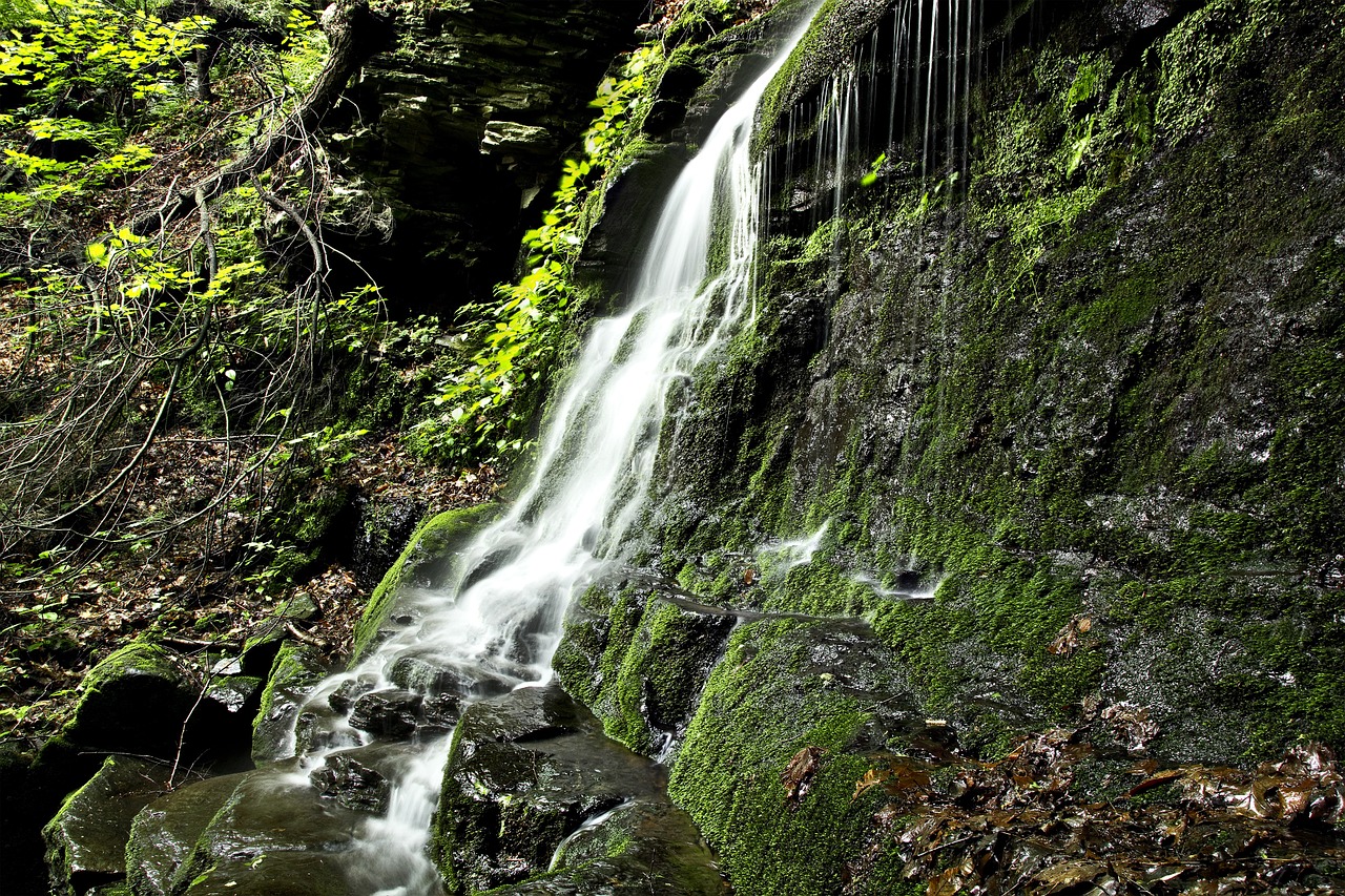 waterfall cascade stream free photo