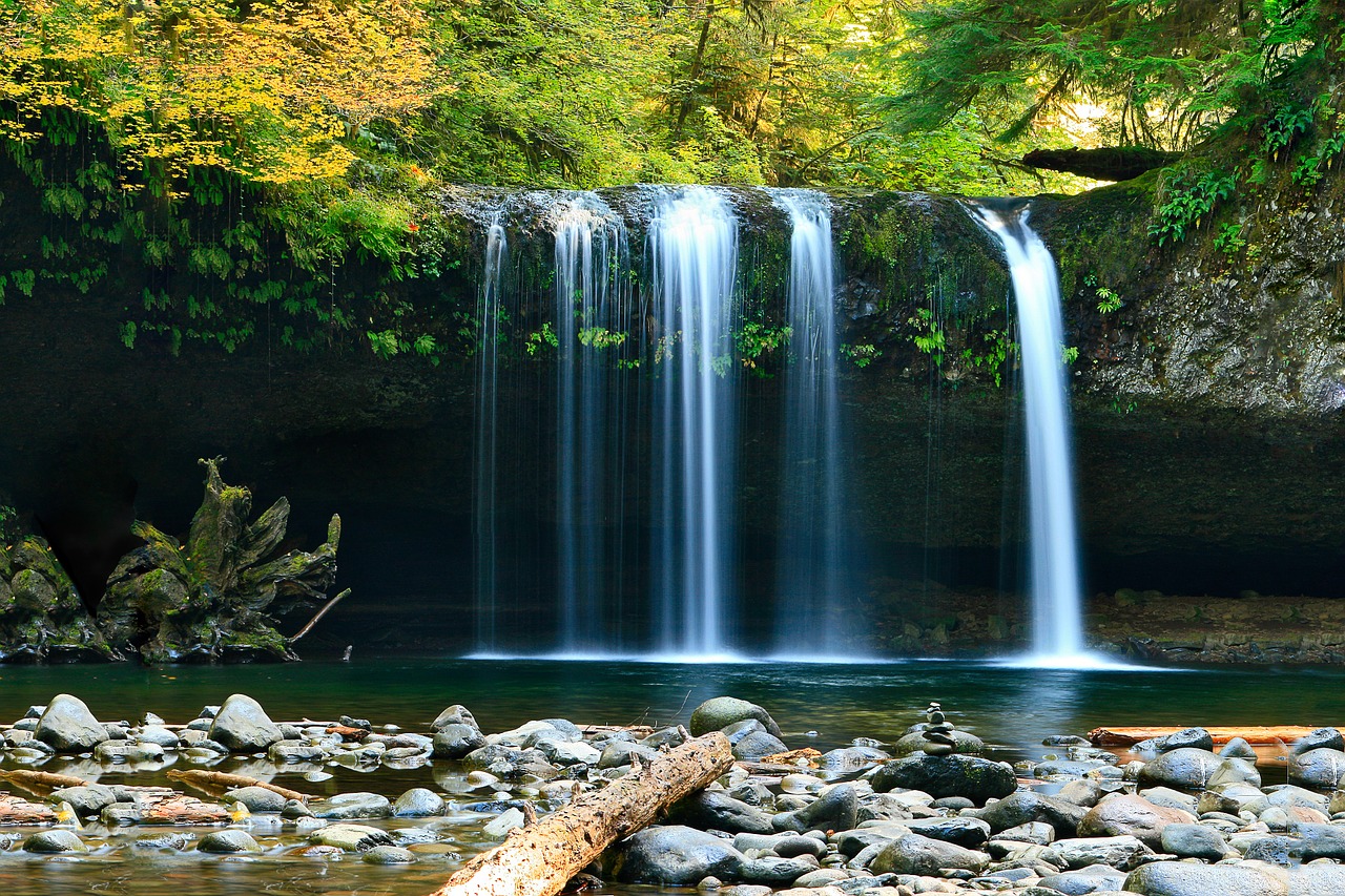 waterfall rocks trees free photo