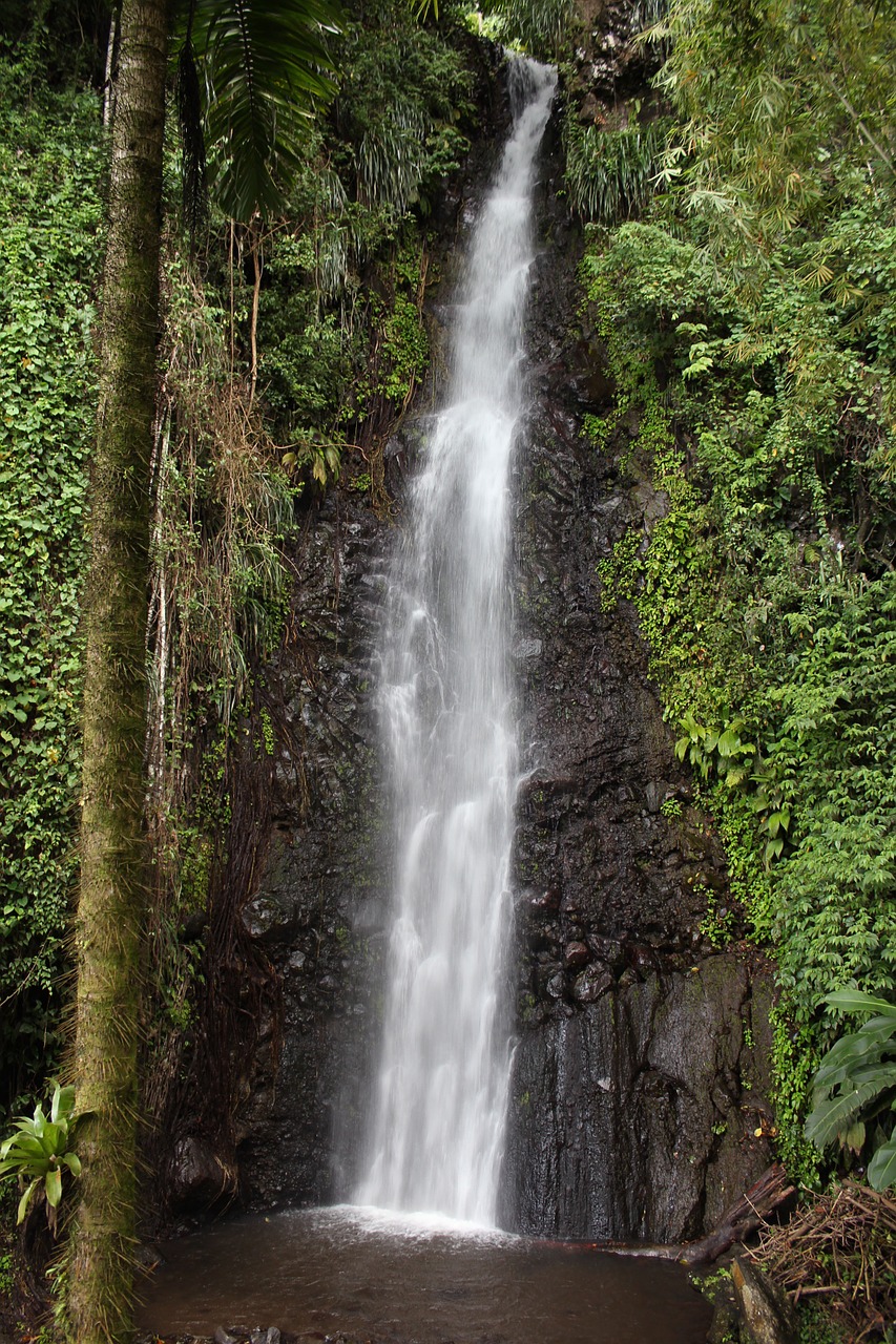 waterfall nature cascade free photo