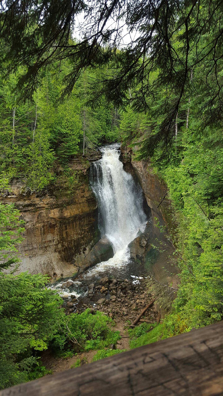 waterfall trees peaceful free photo