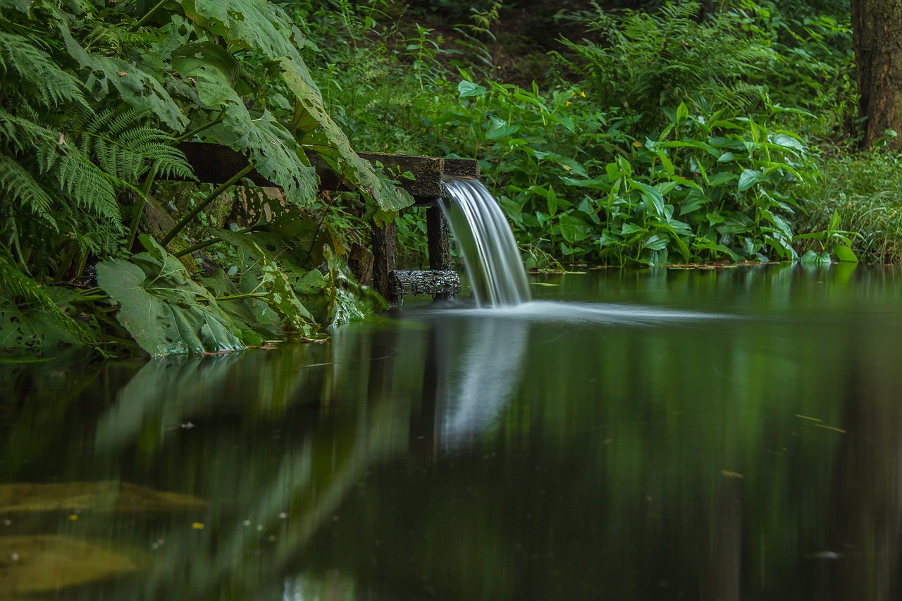 waterfall nature forest free photo