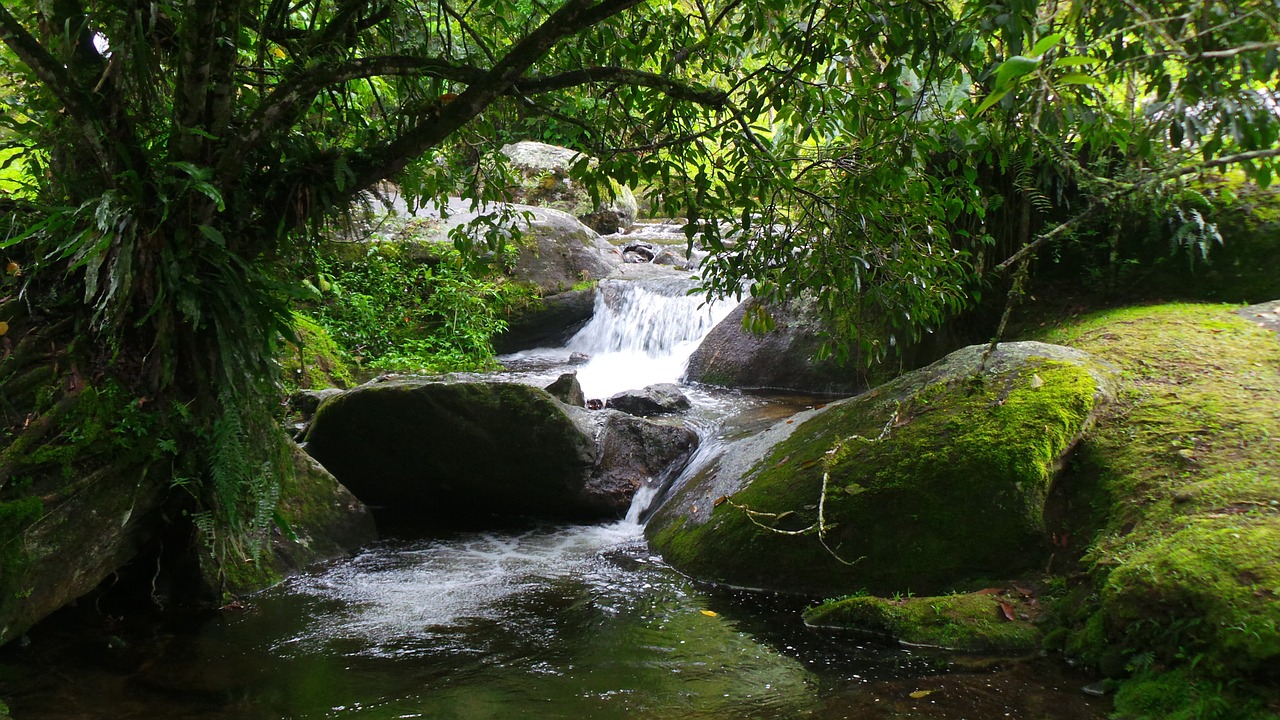 waterfall vegetation serra free photo