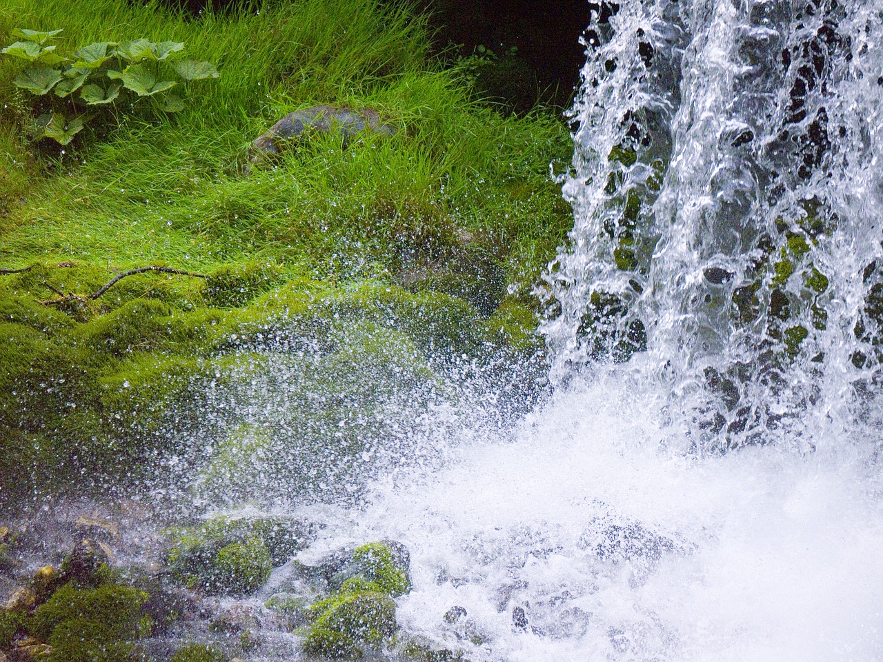 waterfall drip mountain stream free photo