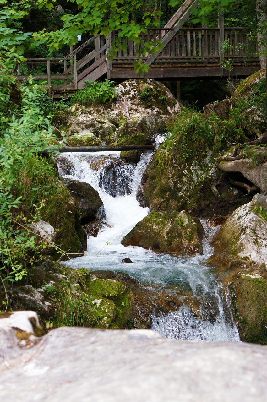 waterfall running water clammy free photo