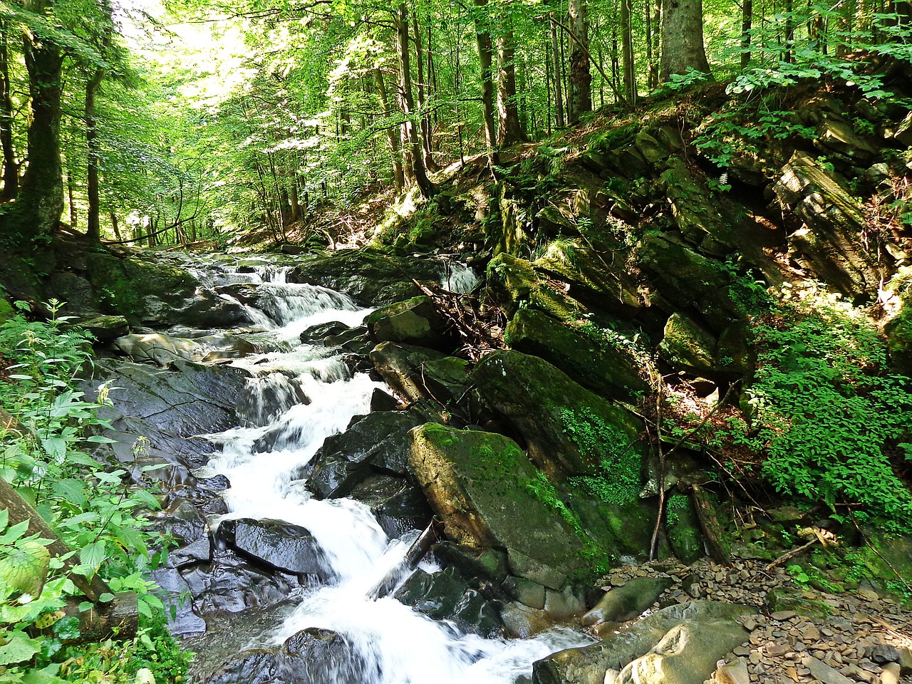 waterfall brook rock free photo