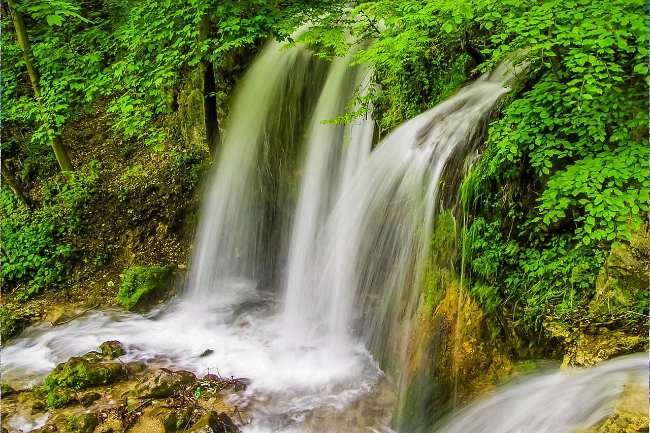 waterfall nature forest free photo