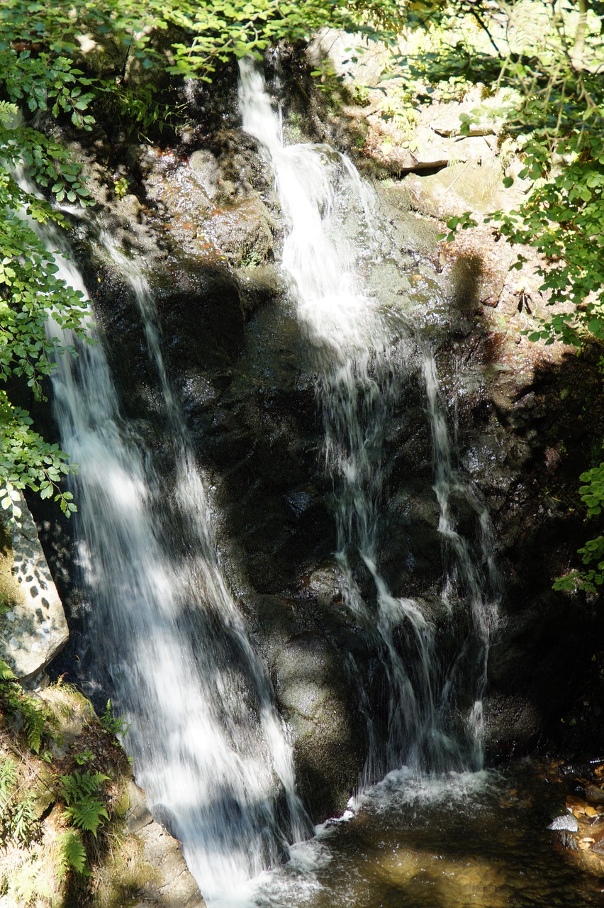 waterfall forest sweden free photo