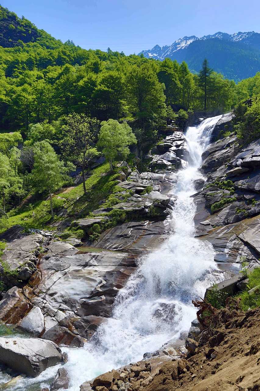 waterfall nature river free photo