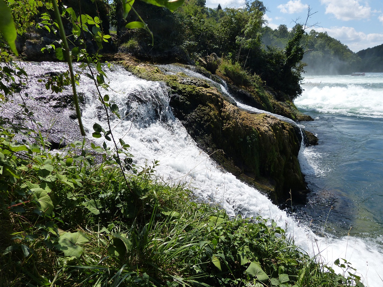 waterfall rhine rhine falls free photo
