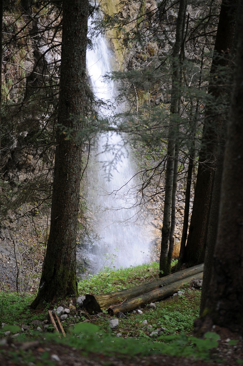 waterfall mountains forest free photo