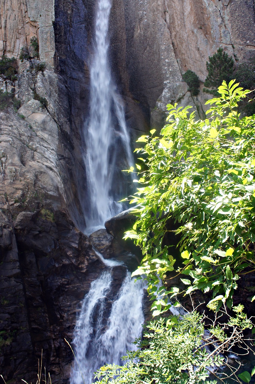waterfall sun trees free photo