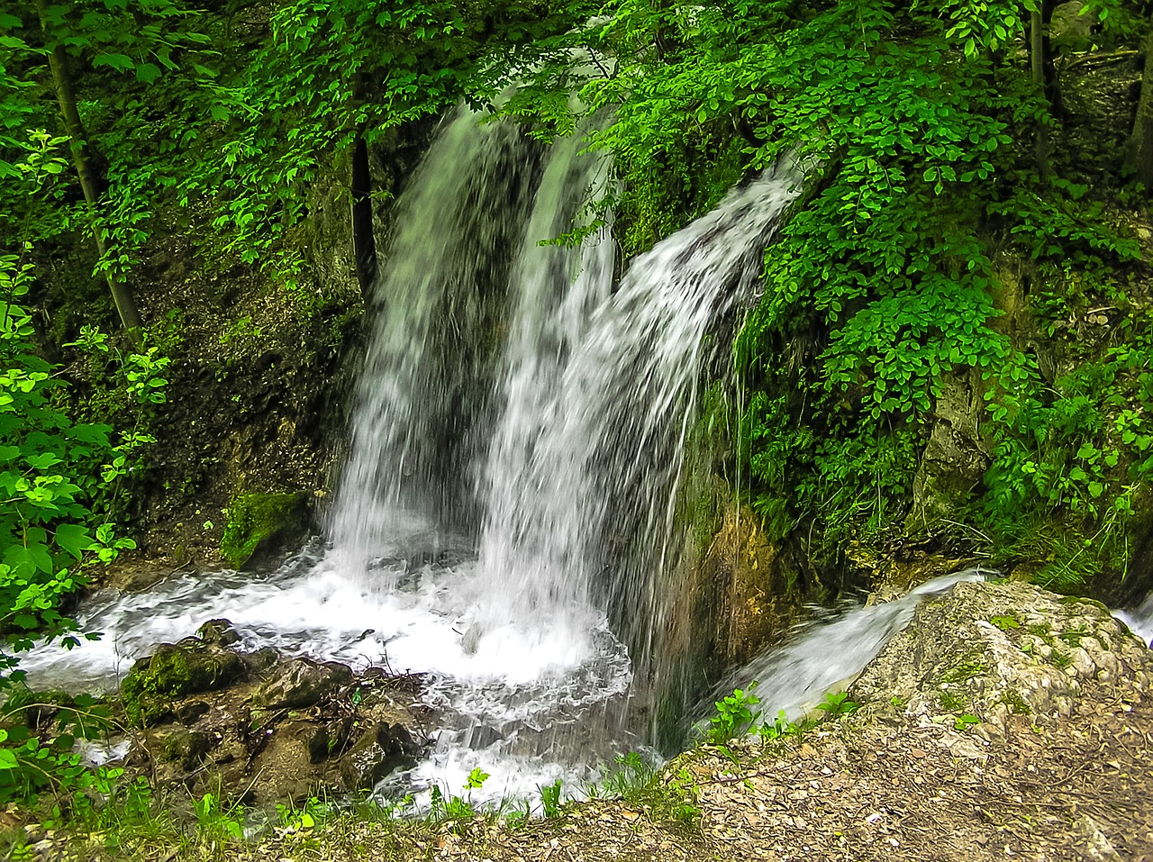 waterfall nature forest free photo