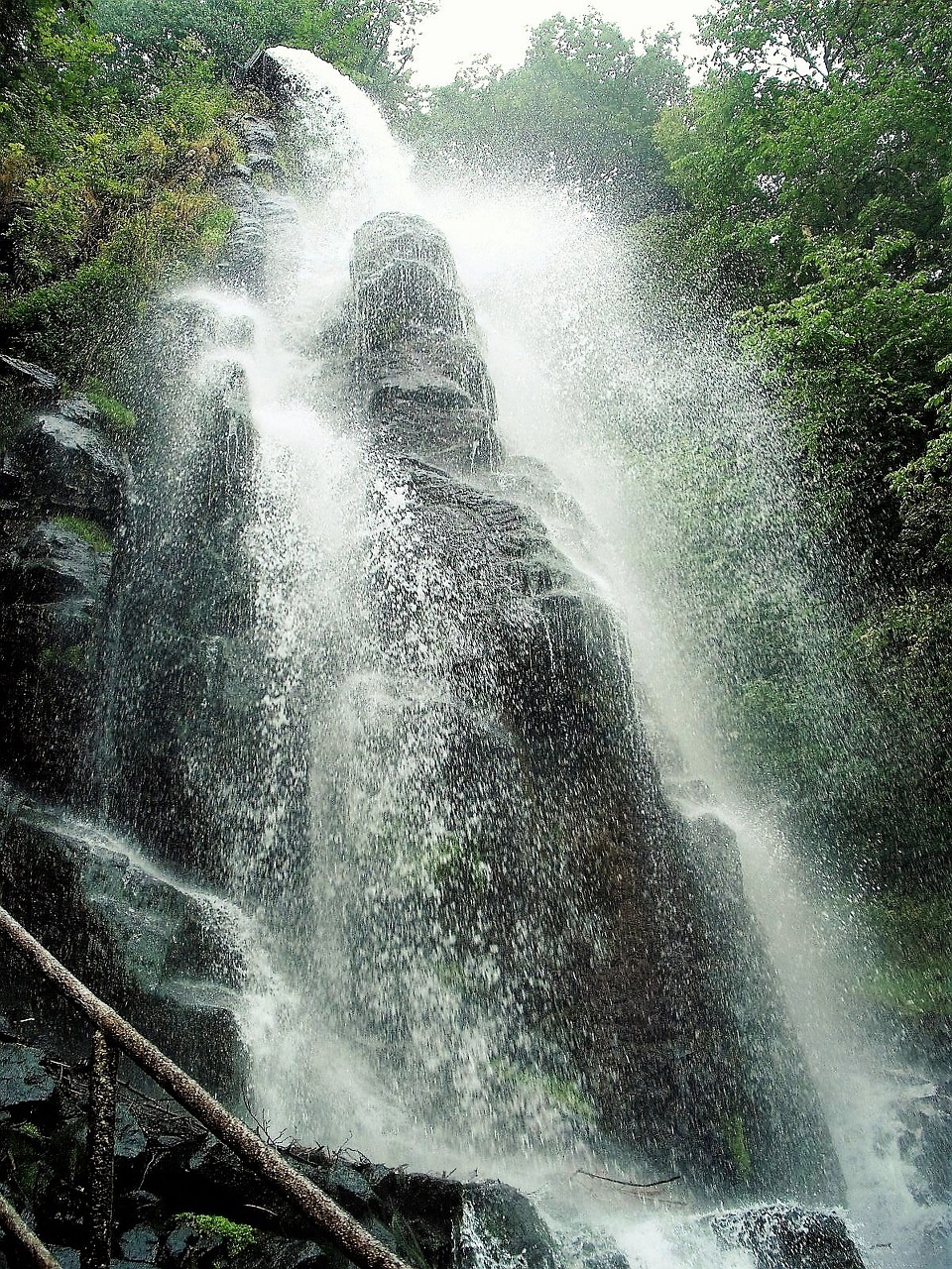 waterfall forest nature free photo