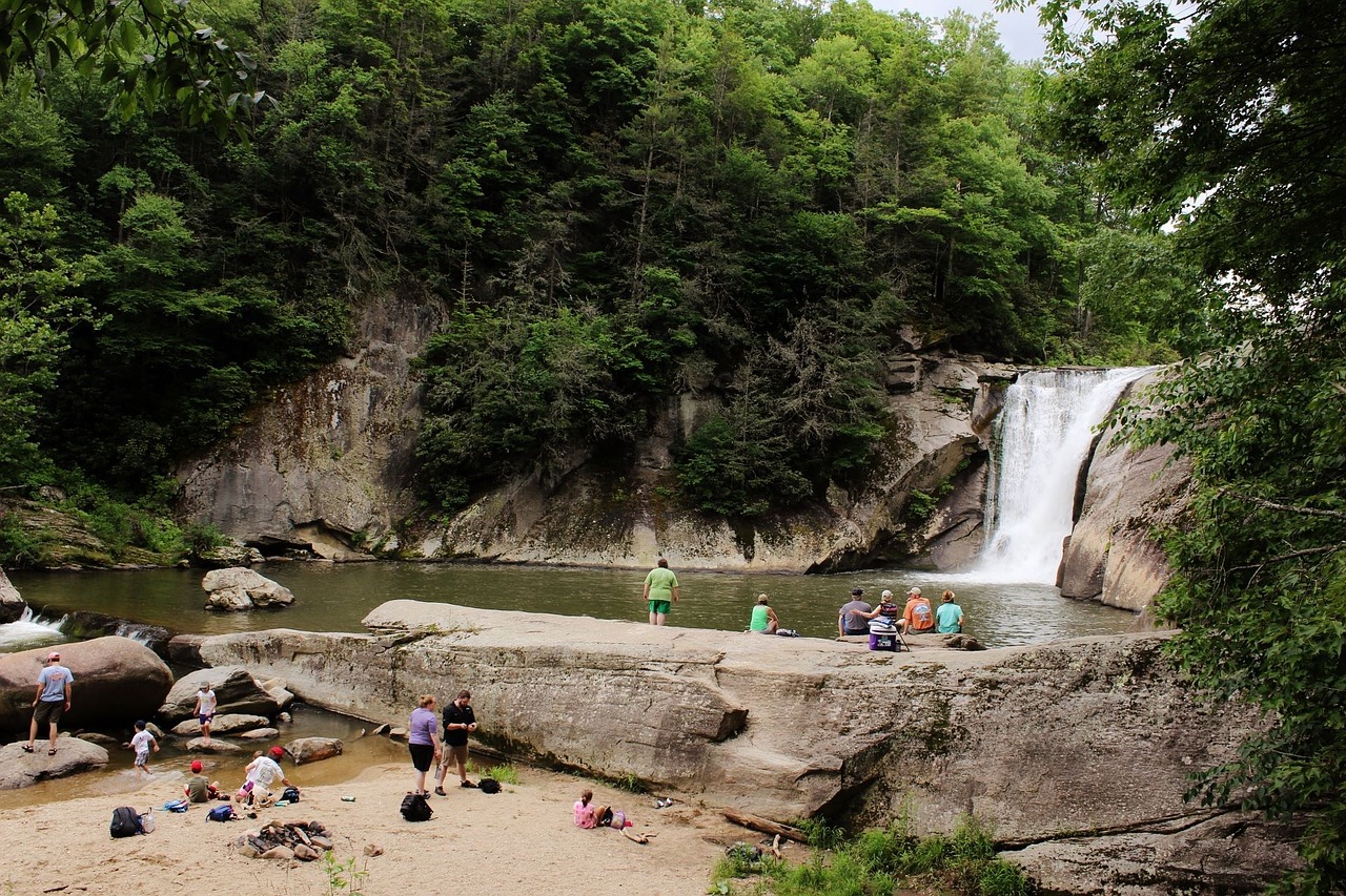 waterfall swimming nature free photo